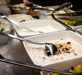 ibis Wels Hotel