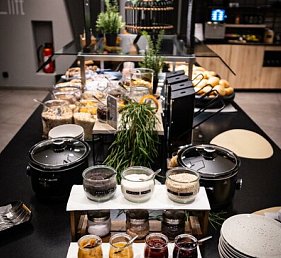 ibis Wels Hotel