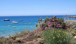 VOI Florio Resort