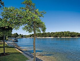 Hotel Zorna Plava Laguna