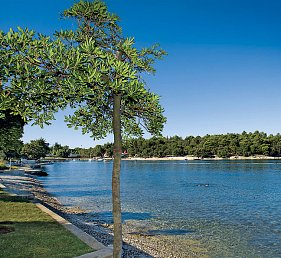 Hotel Zorna Plava Laguna