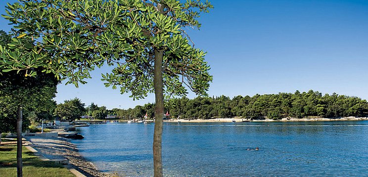 Hotel Zorna Plava Laguna