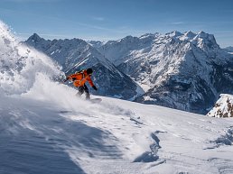 Du Sauvage
