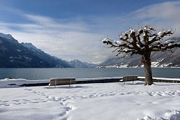 Hotel Brienz