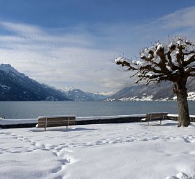 Hotel Brienz