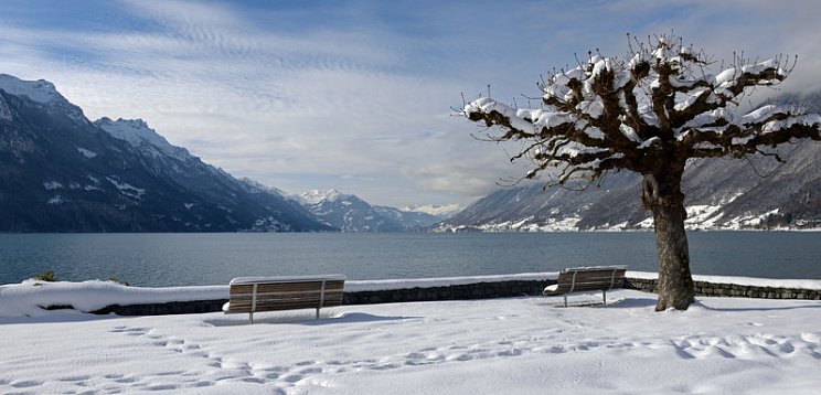 Hotel Brienz