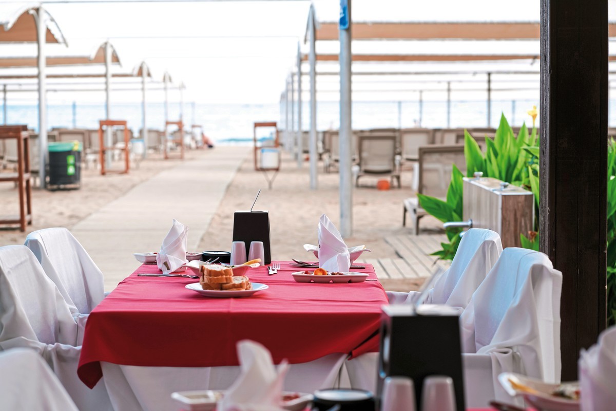 Calimera Hane Garden