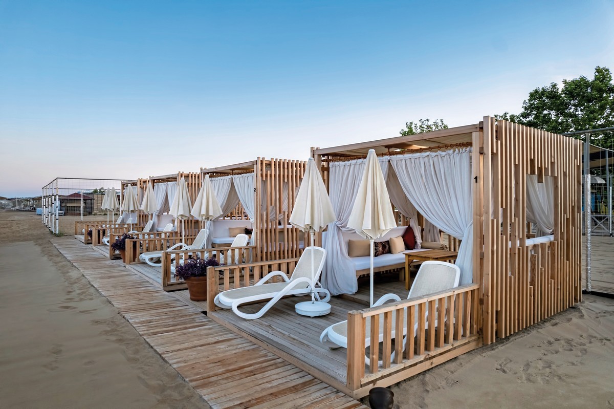 Trendy Verbena Beach