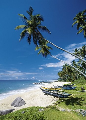 Sri Lanka Classic (Gruppenreise)