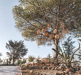 ananea Castelo Suites Algarve