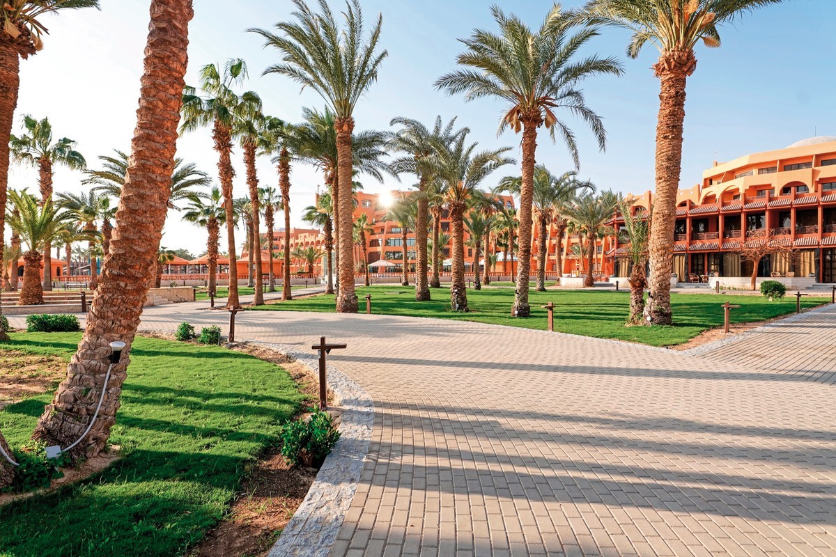 Calimera Blend Paradise