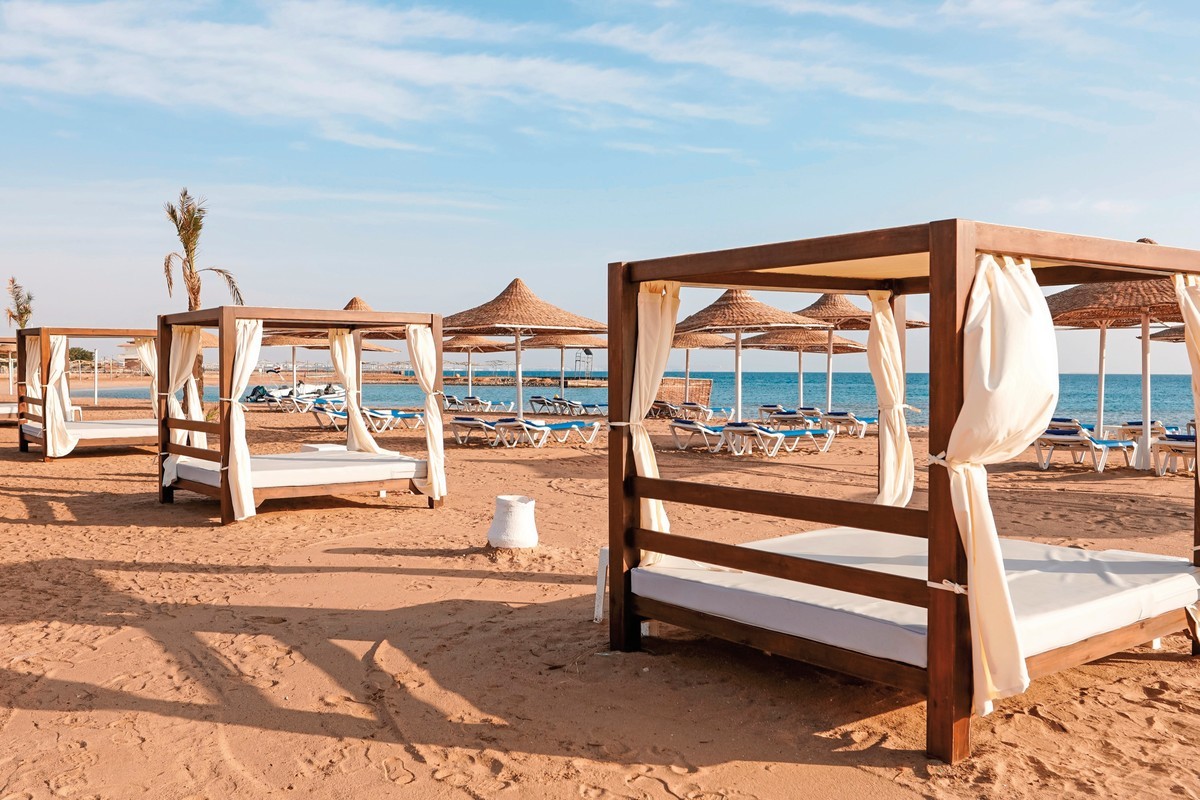 Calimera Blend Paradise