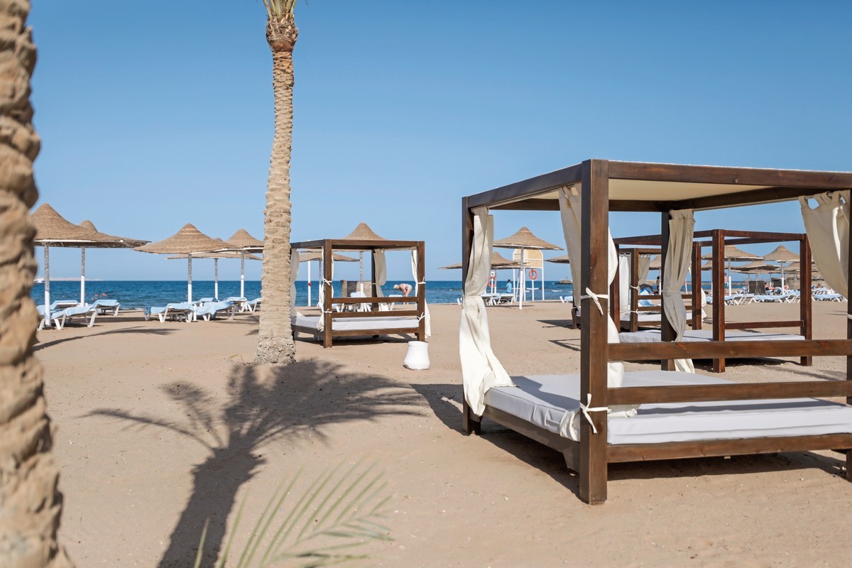 Calimera Blend Paradise