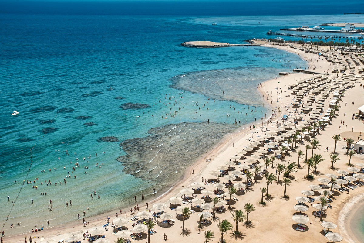 Calimera Blend Paradise