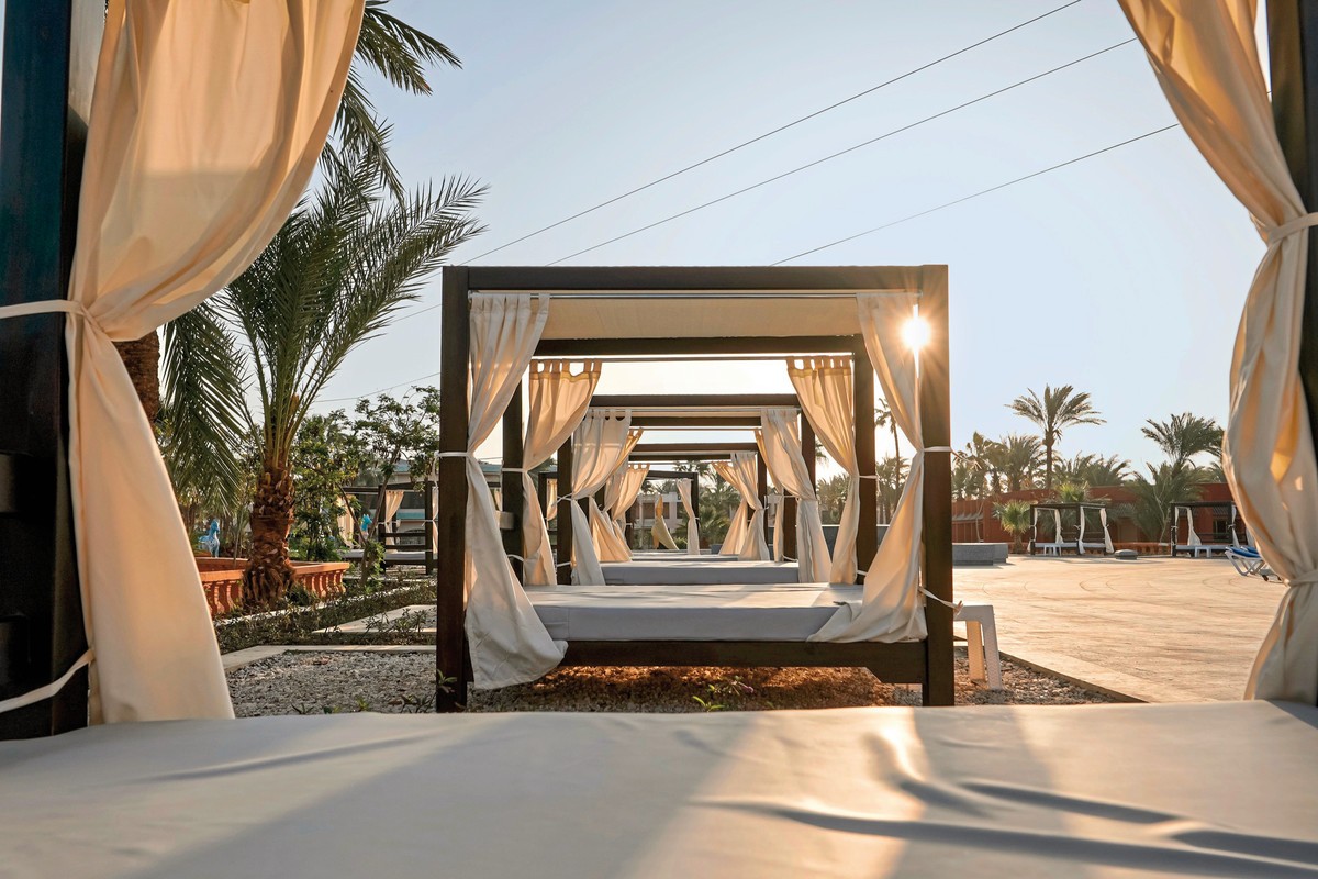 Calimera Blend Paradise