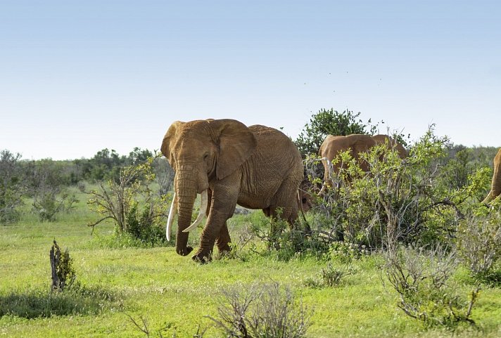 Abenteuer Kenia