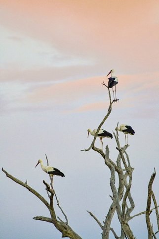 Abenteuer Kenia