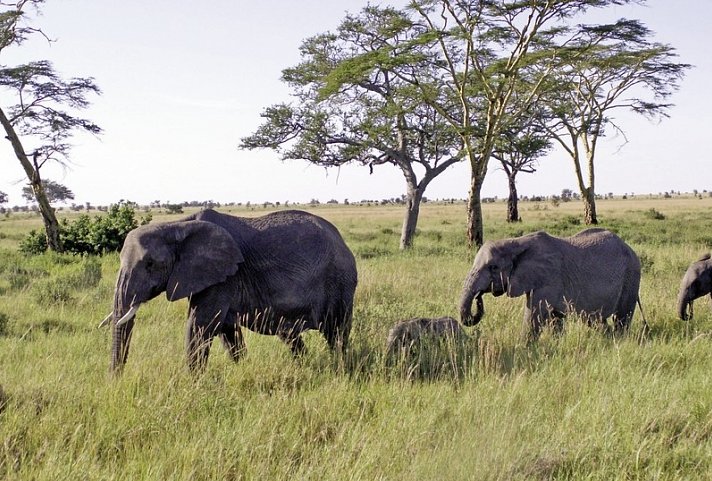 Karibu Kenia (Privatreise)