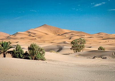 Oasen, Täler und Wüstenkultur - Der Süden Marokkos Agadir