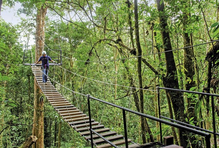Costa Rica - auf der Suche nach den Faultieren