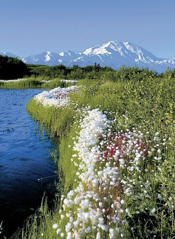 Traumrouten Alaska & Yukon