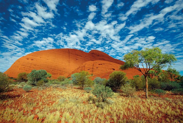 Outback Contrasts