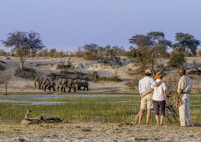 Der Herzschlag Afrikas (6 Nächte ab Kasane) Kasane