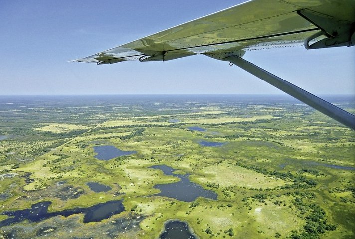 Chobe & Okavango Fly In Safari