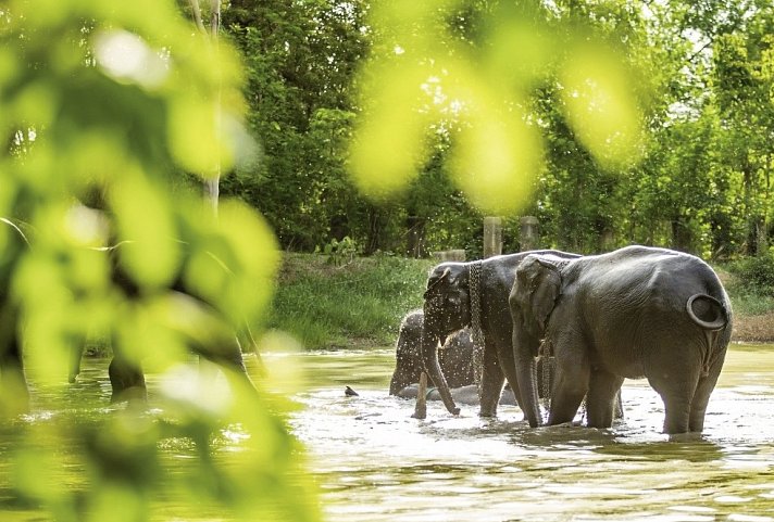 Nord-Thailand mit Goldenem Dreieck (Gruppenreise)