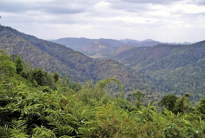 Khao Yai Nationalpark