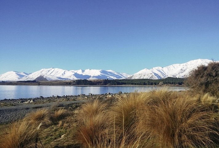 Neuseeland Queen Charlotte ab Christchurch
