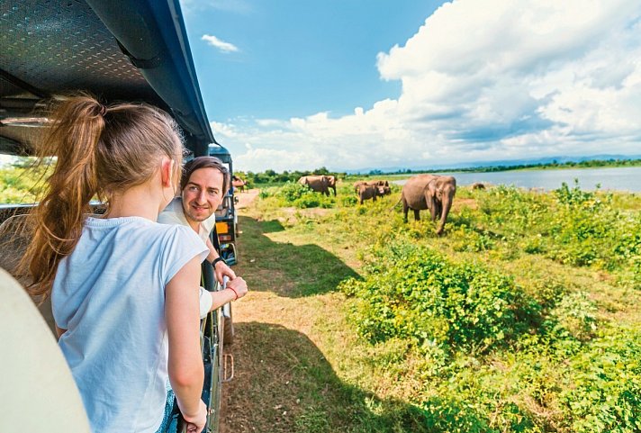 Wildlife Safari