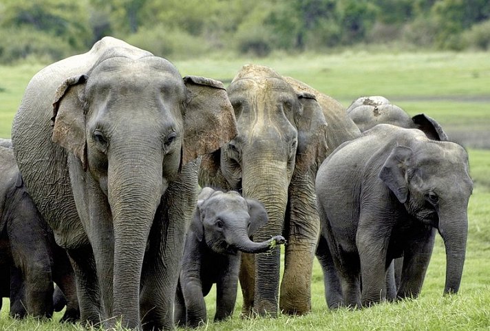 Sri Lanka entspannt genießen