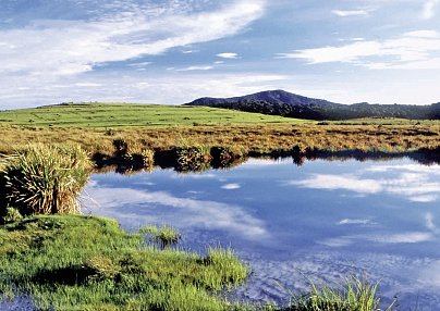 Sri Lankas kulturelle Höhepunkte und das Hochland (Privatreise) Colombo