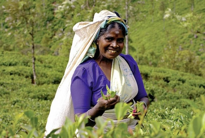 Sri Lanka hautnah erleben