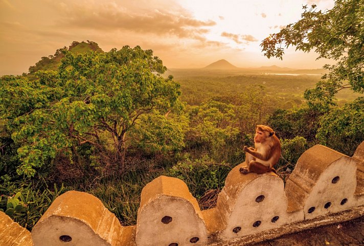 Sri Lanka hautnah erleben