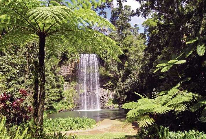 Ostküste auf eigene Faust (Cairns - Sydney, 16 Nächte)