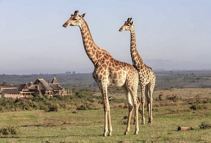 Go4South Africa - Erlebnisreise für die ganze Familie