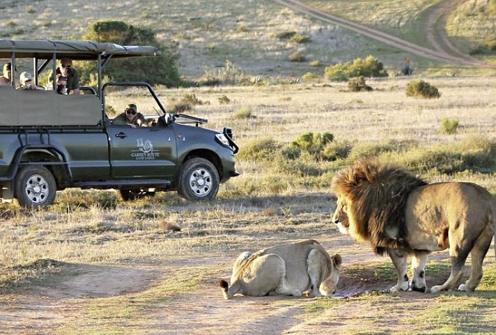 Go4South Africa - Erlebnisreise für die ganze Familie