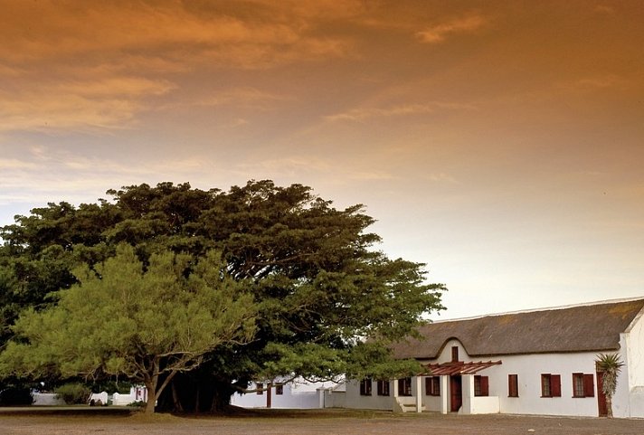 Go4South Africa - Erlebnisreise für die ganze Familie