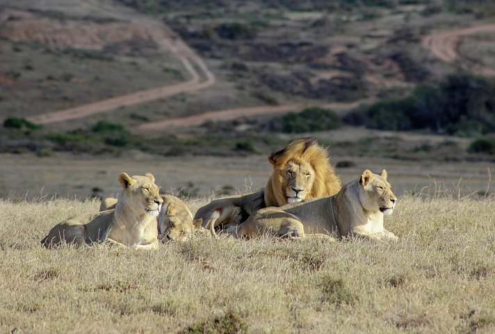 Go4South Africa - Erlebnisreise für die ganze Familie