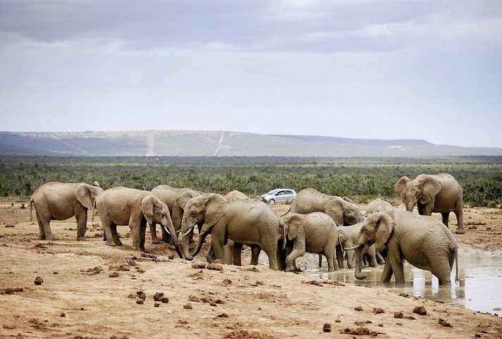 Erlebnis Gartenroute, Karoo & Addo