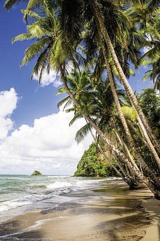 Naturerlebnis Dominica