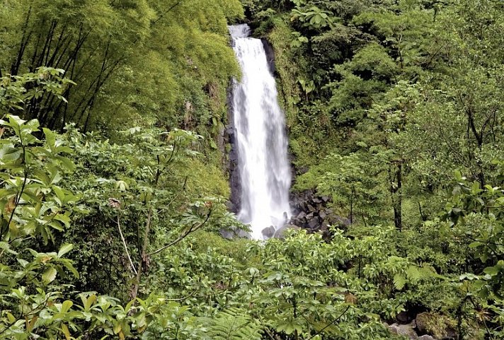 100% Dominica - Insel für Entdecker