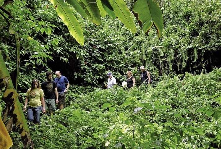 100% Dominica - Insel für Entdecker