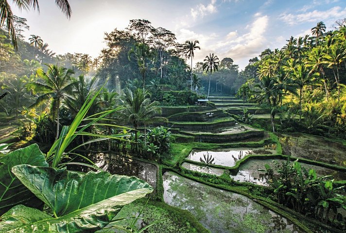 Bali zum Entschleunigen