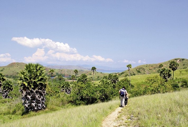 Komodo & Flores zum Kennenlernen (Gruppenreise)