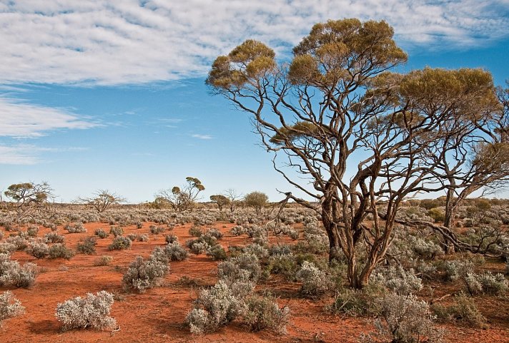 Top End Explorer & The Ghan Expedition