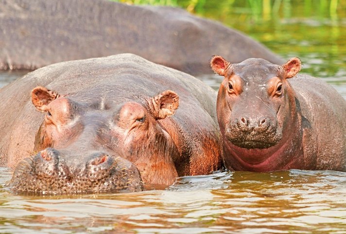 Uganda Entdecken