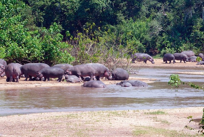 Stippvisite Uganda